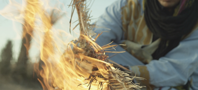 branche en flamme dans film démo agence imagista